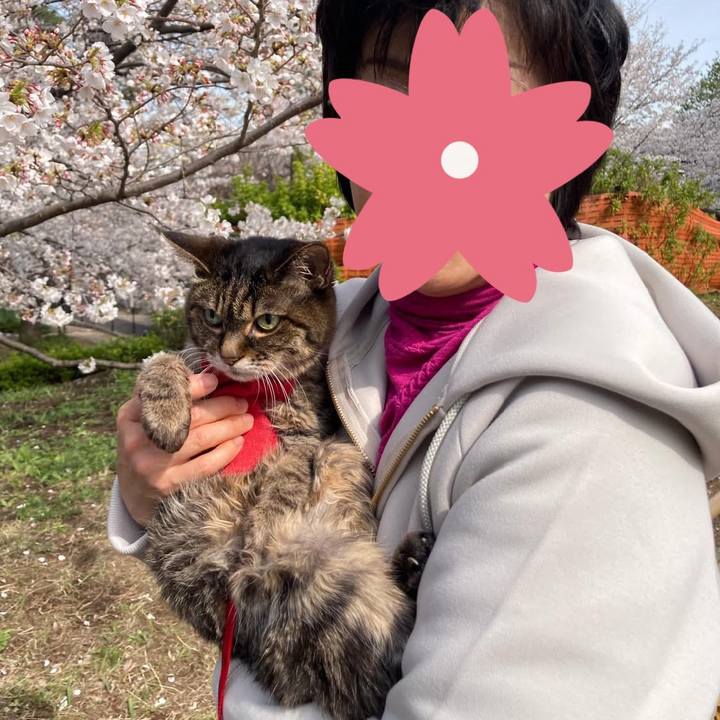 05d31bce 5dec 46ba bc21 d0ae07e137a5 1775399943541