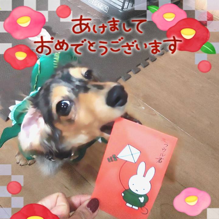 05d34f69 b77b 4785 9079 2c11d5689b77 1704107971016