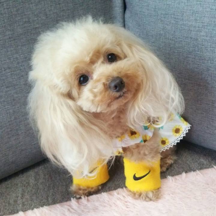 05d3804f 4791 4682 a339 7fa07339a0d9 1561982663430