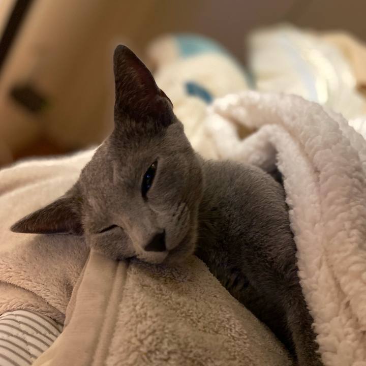 05d3affd dc01 4e1a 95b5 8db925396252 1604742789216