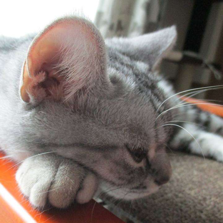 05d3b0a2 c631 4c72 8284 599934e23635 1563585256025