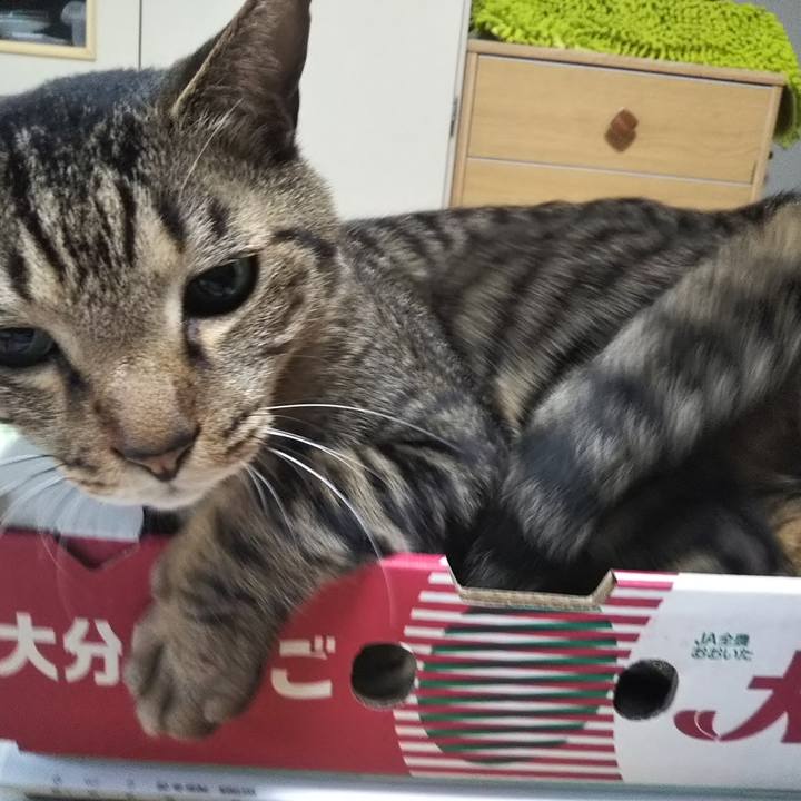 05d3b6d4 81f1 4cf8 b79e 45de9e12ff78 1527262268987