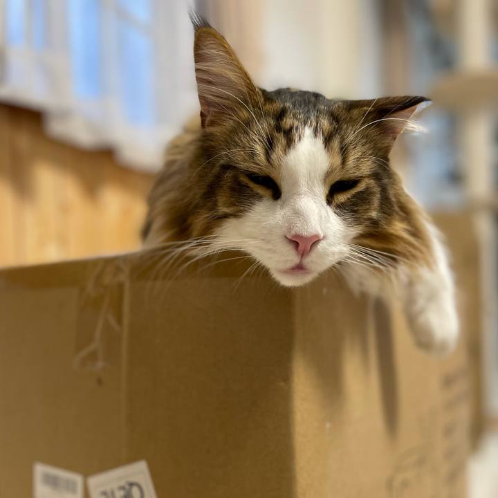 05d3c39d ac69 4037 b579 b18755e00a73 1668981624411