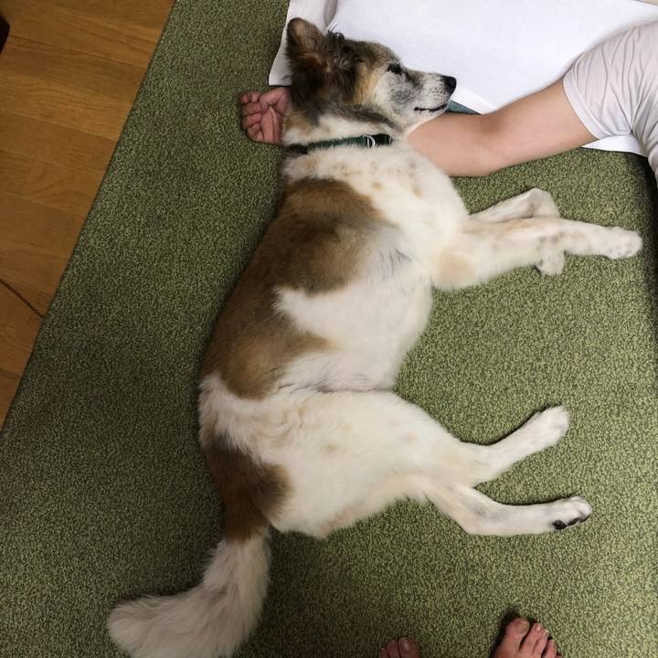 05d3f998 696f 4382 98ed 632e7c66801d 1534343907648