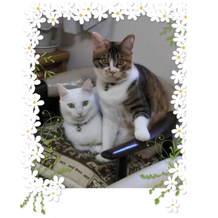 05d408a0 f440 4ac1 bb29 56dc4784ac10 1654327208777