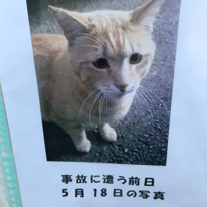 05d4191c b014 45b7 8138 ed03f7ab1cc1 1622415724918