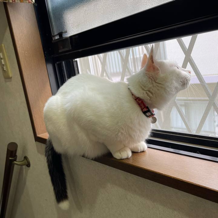 05d43f4d 3983 4e0d bd88 470285d41c08 1749769601634