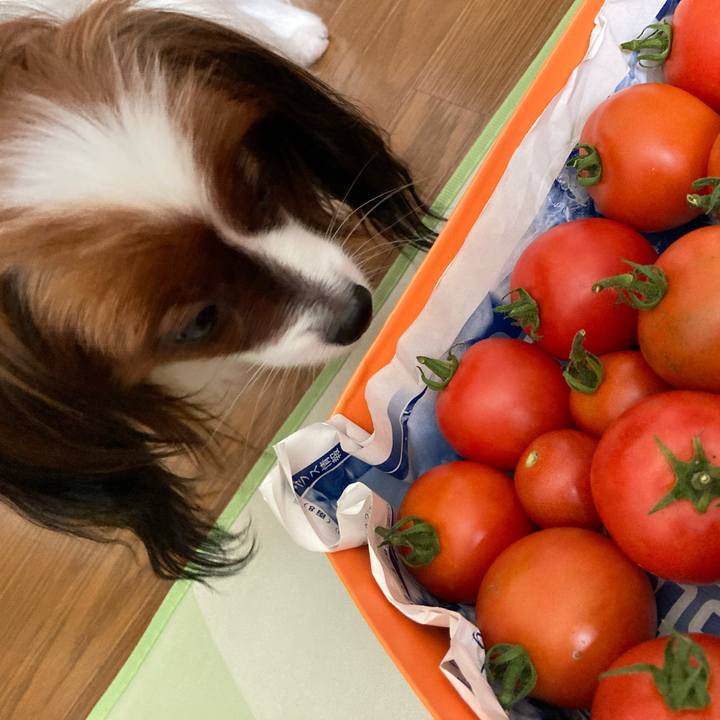 05d44116 6df9 4aae bc8b 18291a72c9ca 1630562831722