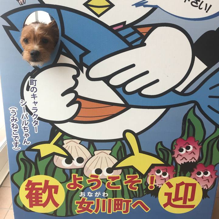 05d44cc0 74dd 455f b0a1 9091dce3960d 1535794938510