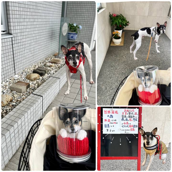 05d4f452 3b52 48e2 850a 171f055fb7a0 1663416507524