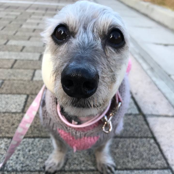 05d50dae c5fa 4ce0 bce0 694bd4bfa9c9 1512180625249