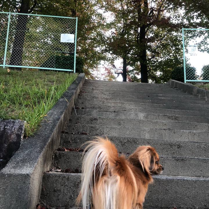 05d50dc7 d6e1 4ed9 bf5b ec167348101e 1540158145213