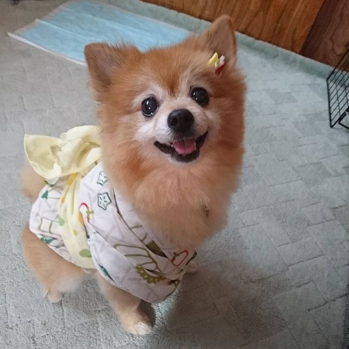 05d53b7b 2298 41b1 917b f0c8cf03f104 1507901347216