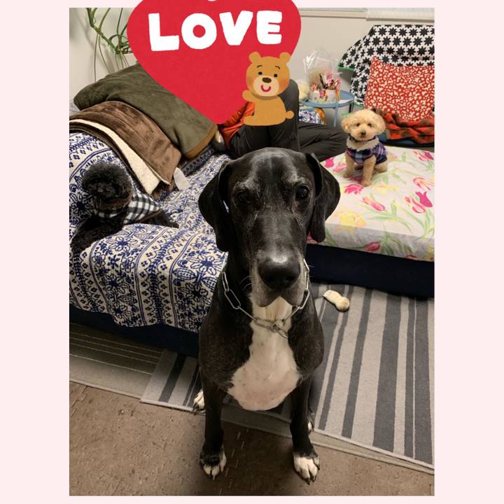 05d54276 769f 4a4c 9c1a fb960769fec4 1548888210787