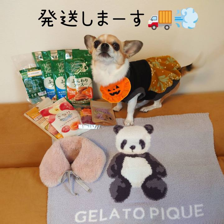 05d54395 045f 4309 b143 9857603ae317 1698725267984