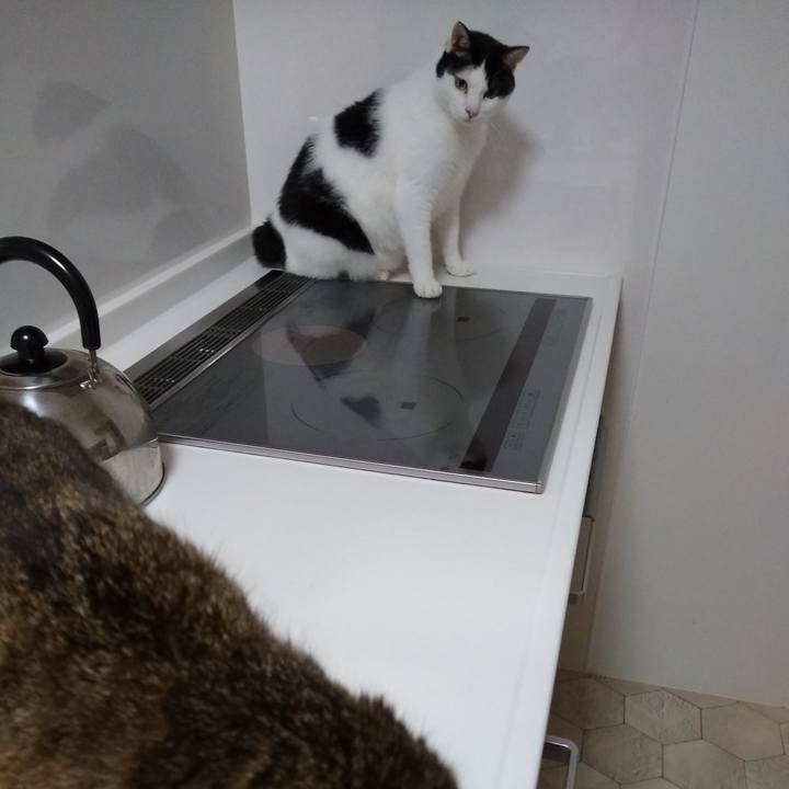 05d55e62 a530 4313 8c06 7af275d9d1a5 1566661037302