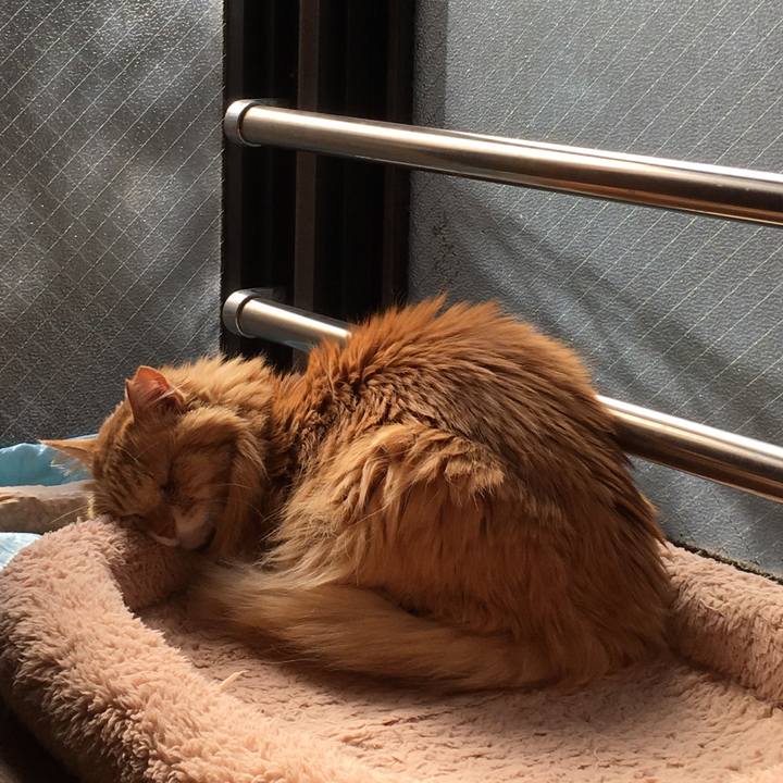 05d58934 7a7e 4976 90d9 0baeea24efb2 1519041638954