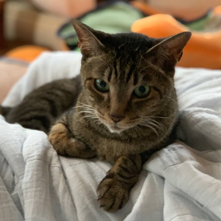 05d5a851 28a1 4eda 9dc9 cc09d30ff96b 1566953441130