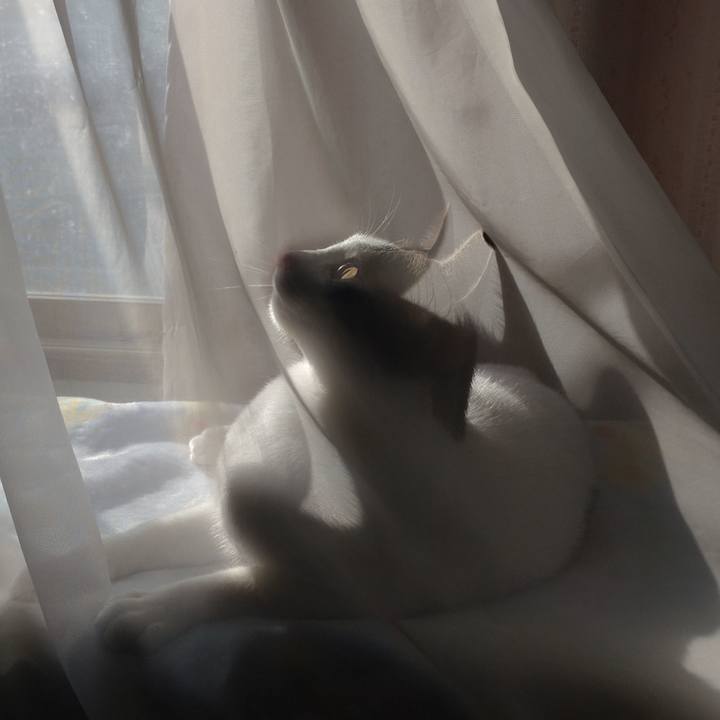 05d5ae5f f252 45a9 a085 d67130c6fbf6 1683544532721