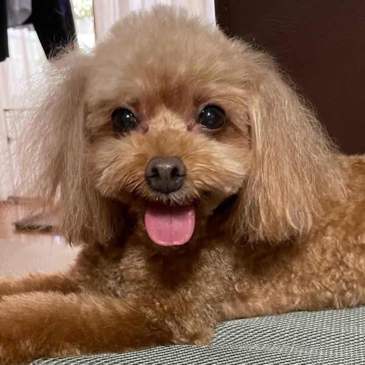 05d5cdff e080 4f69 bce7 4aacc21382cb 1724563244436