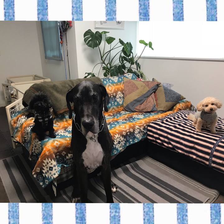 05d5e0cb b6b9 4431 a39d c9d43cce16d2 1541371151370