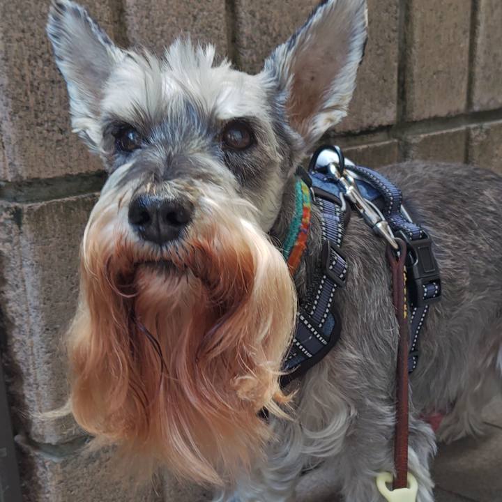 05d61932 31be 468c a930 52bf2cc34e2a 1759209421609