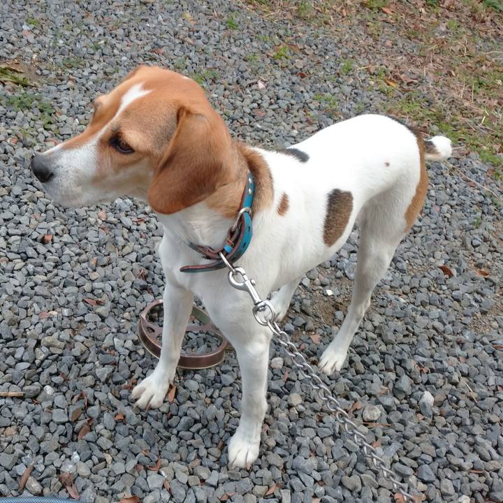 05d63c44 7549 4e0f 8012 45110c37c0f0 1575351841821