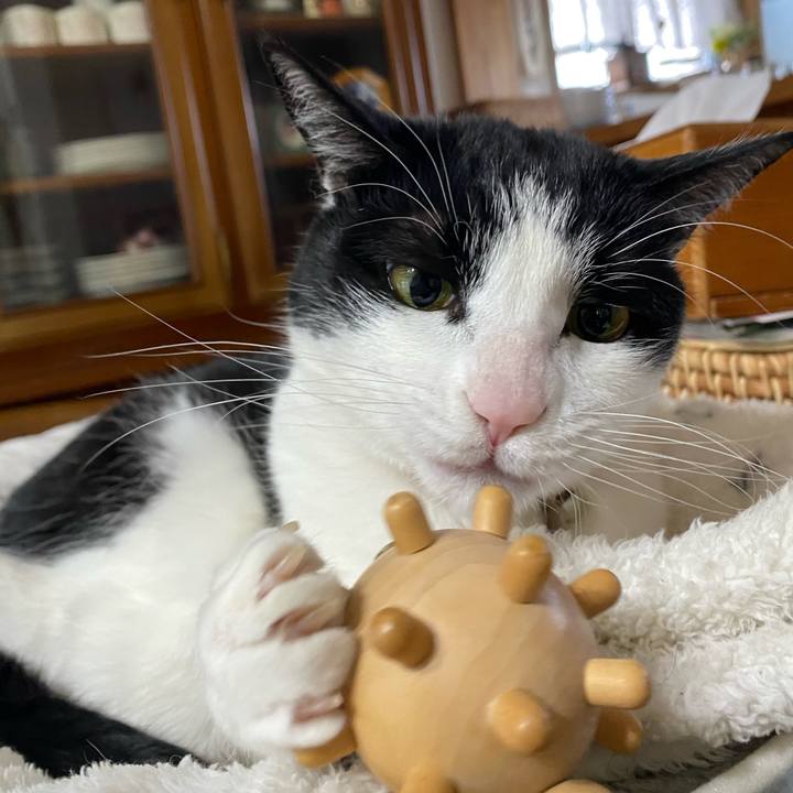 05d63de7 eb39 4865 b750 4cad03b94268 1611793215976