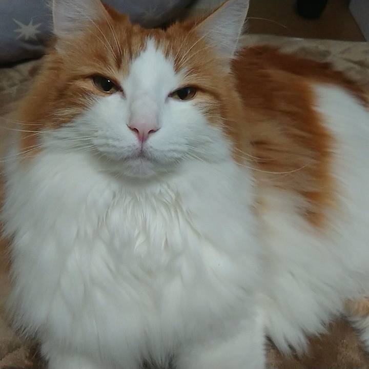 05d66fbc 99ed 4f5c 9ffb d350c1f62ce1 1548164551103