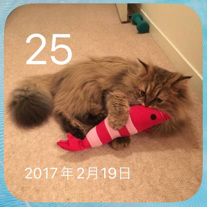 05d6944a 4ee0 4679 ab43 2f1230c7f338 1677282082354