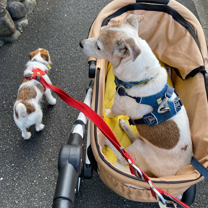 05d69a6d 8285 4713 a7b8 0eb32d8b9dba 1665900484211