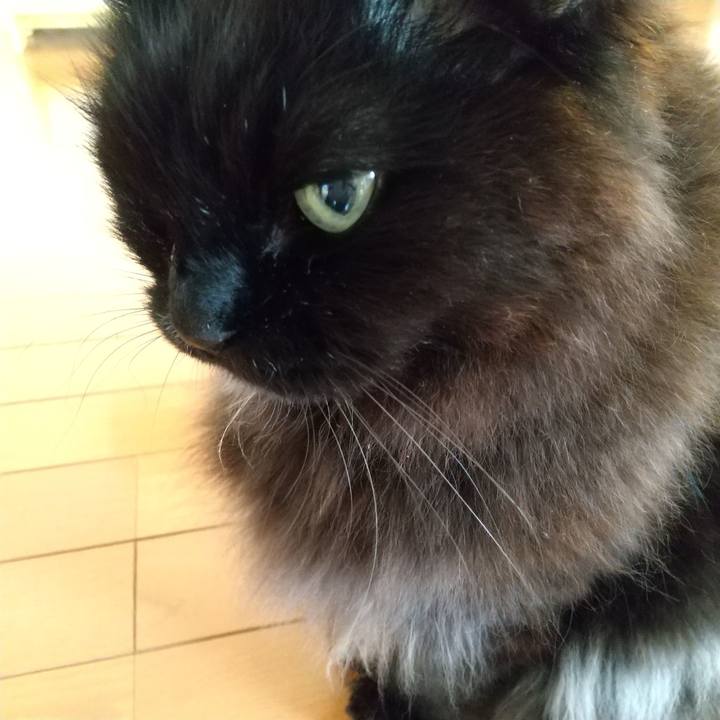 05d6a84d acc1 4641 971c 788f146b868e 1681944756811