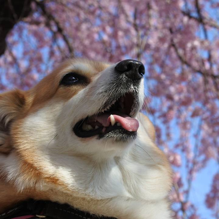 05d6e273 bfea 41d9 98d1 46224d88f698 1712750470766