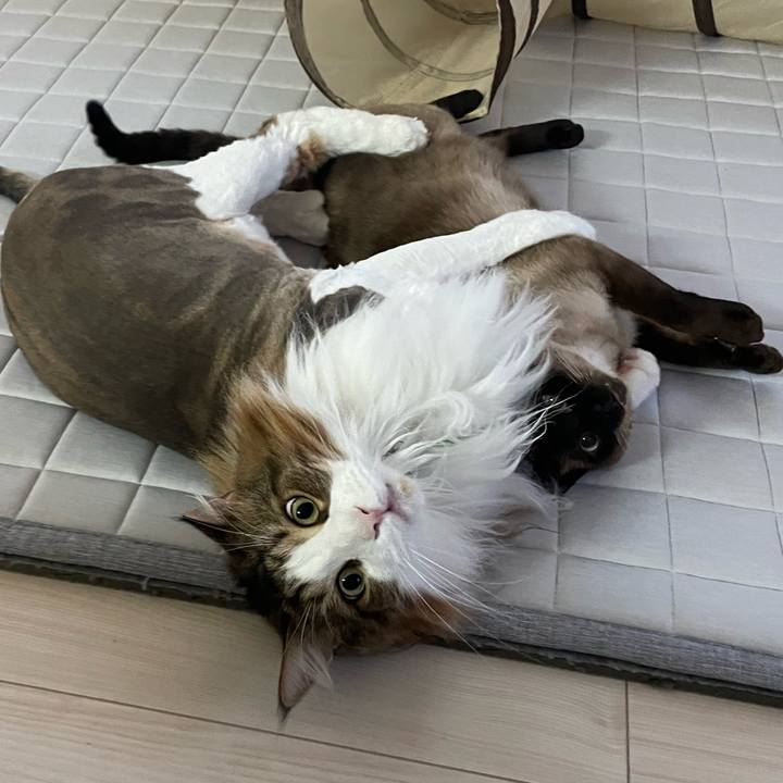 05d74540 9b73 42aa a5c6 f97ecaa86f32 1752094679202