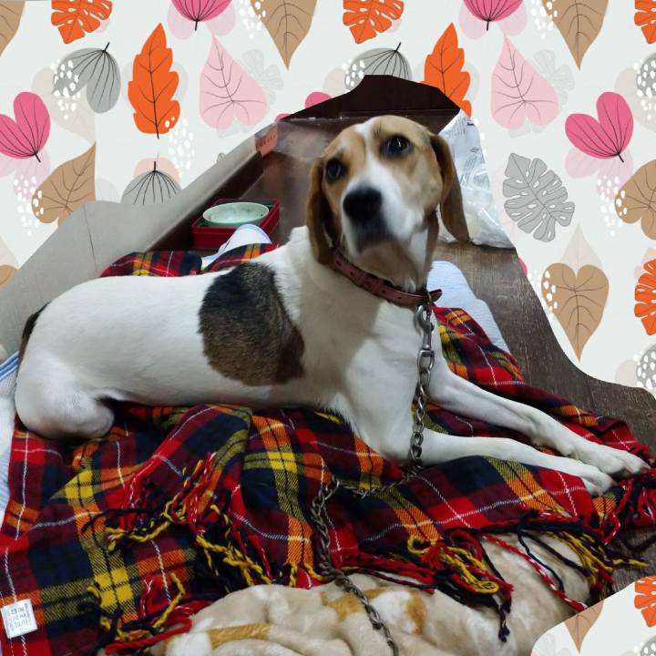 05d75884 1122 4293 87ea f7047b39cf6e 1602502681492