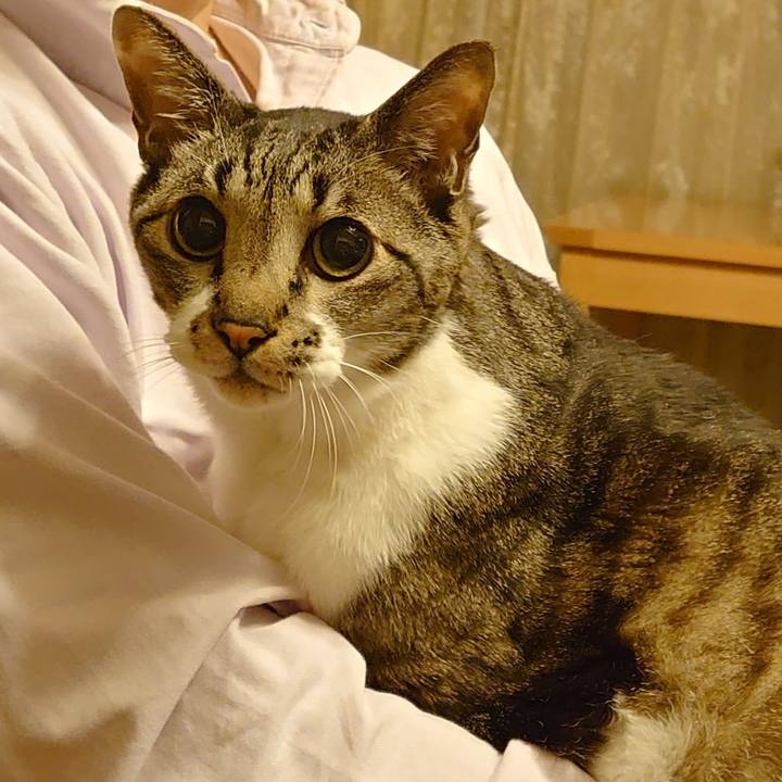 05d75d58 1ebe 4b04 a9e3 1bb4542c838c 1748351544931