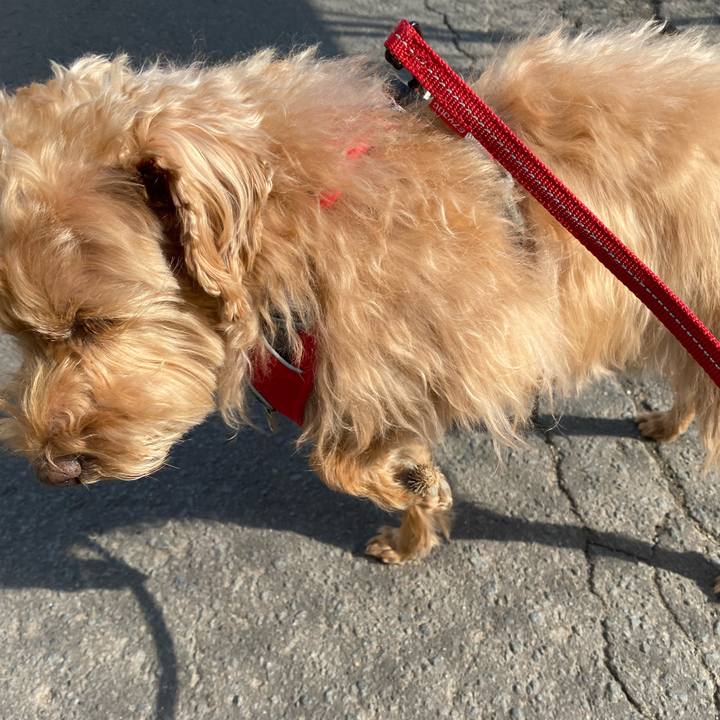 05d7753d 11ca 4fd2 aae8 a0b4109a1a8e 1682380107171