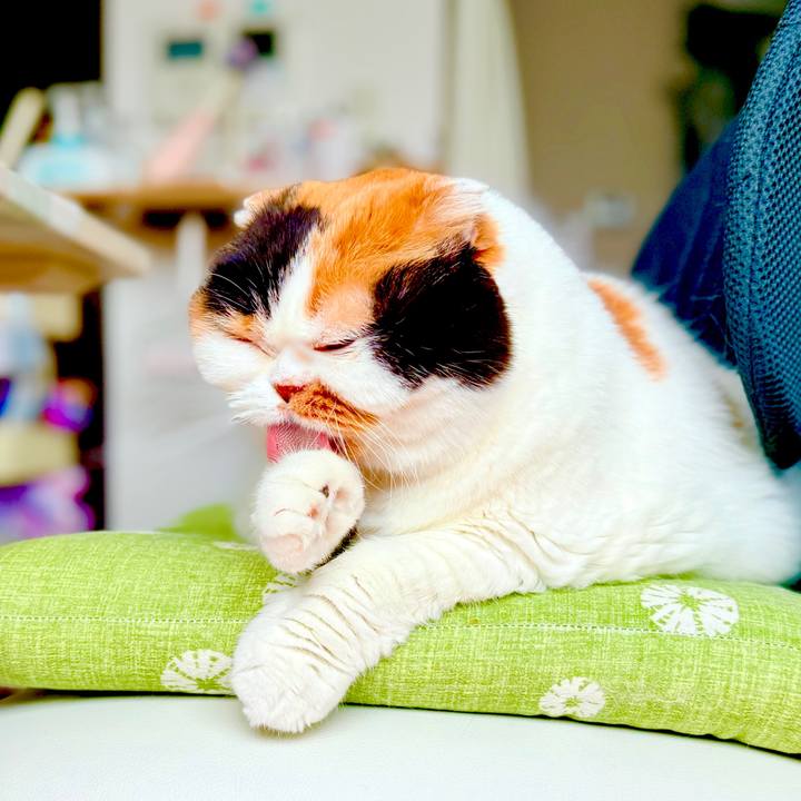 05d785da 8a51 41d0 9b6d c05aefc403f0 1742857792832