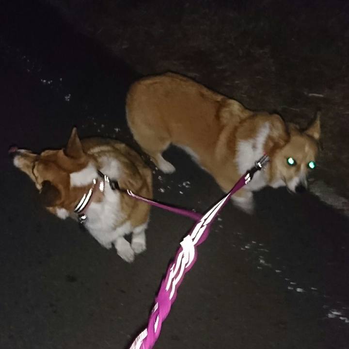 05d78b43 e438 4ba1 8834 adf52a3c1016 1553594628500