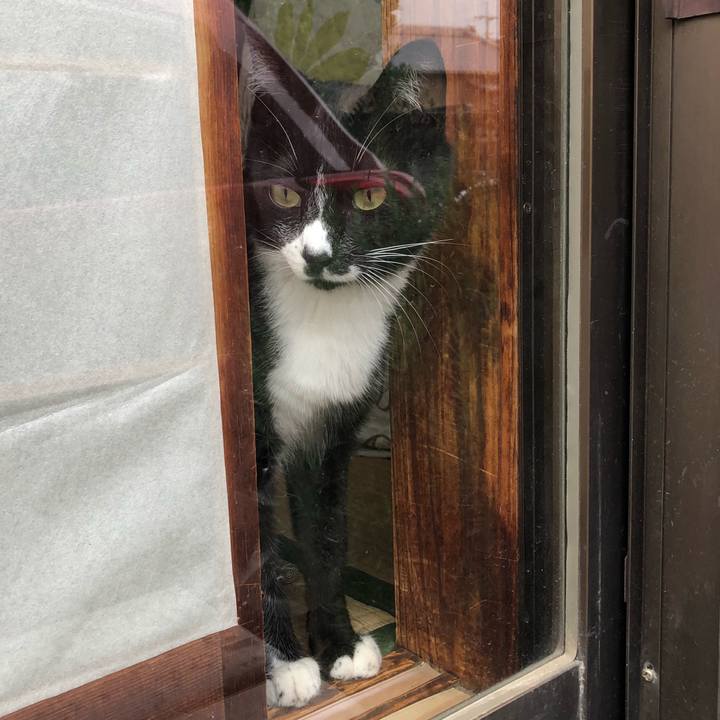 05d7b6b5 b383 4957 ab13 755a1b4ded99 1531020471945