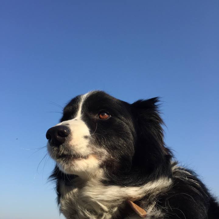 05d7deb1 f0ac 4ab1 9fd2 c5d68c15d531 1524263465300