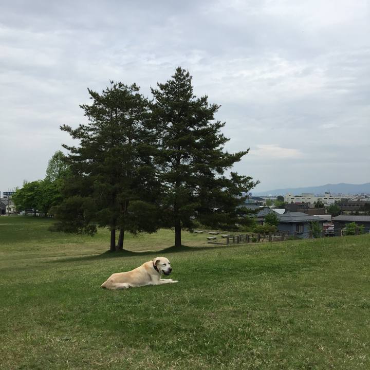 05d7e054 e650 4cdc 9f1e e67b55c31cfd 1525237884474