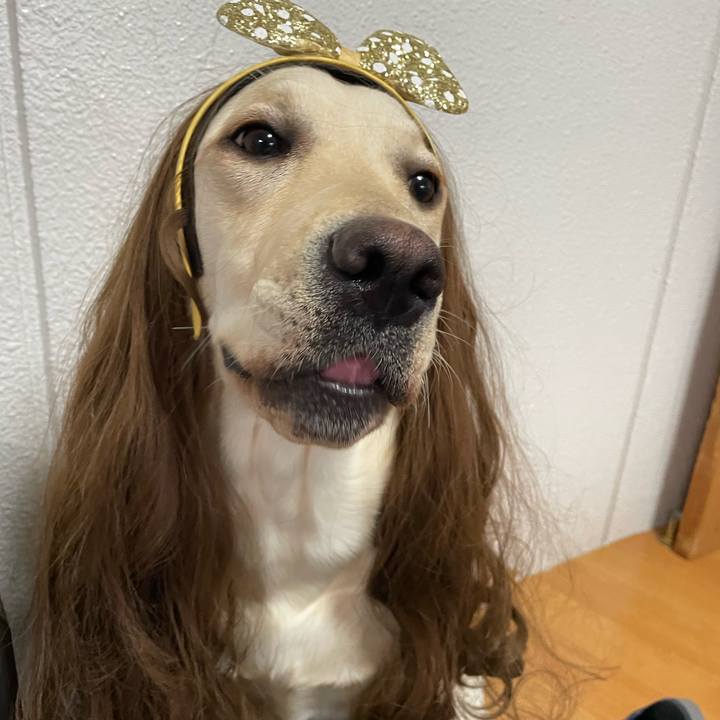 05d7e100 dee3 4b99 aff3 c4f3e6b25769 1643895029793