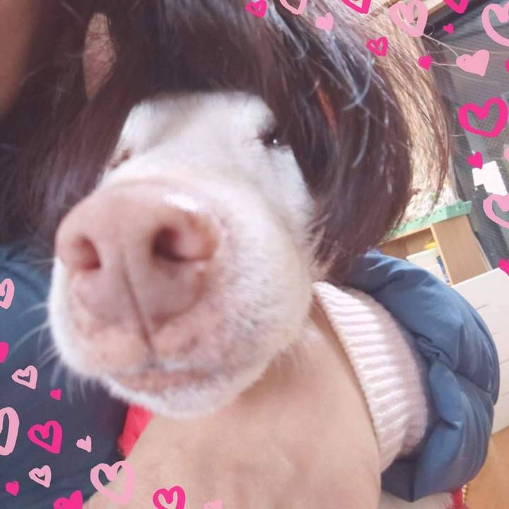 05d7eca3 887e 4ec3 b79a c5f88bc8f0fe 1702137278681