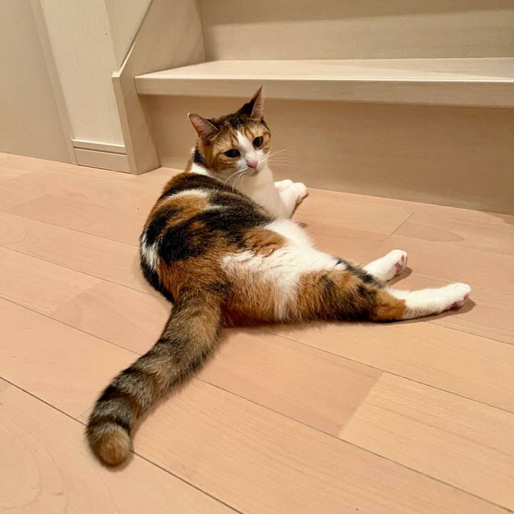 05d823ea fa46 4887 8608 69e4bd1b0843 1761016713972