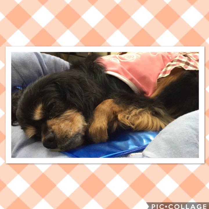 05d82ad1 a036 4a94 950f 1a71fc14b94b 1530321539489