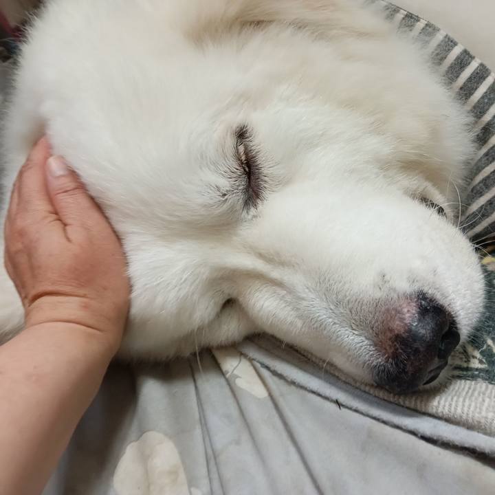 05d82bdd 0f82 42ce a3d2 f7e4882cbfa0 1721095665360