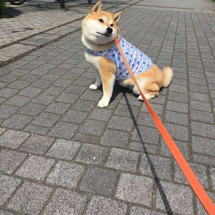 05d8446f bd8f 4464 8a6c 4373ec9e57de 1556001892502