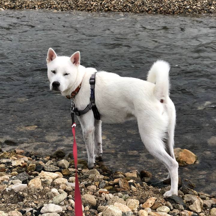 05d85780 0ee5 431f 8002 2add43135012 1539177255226