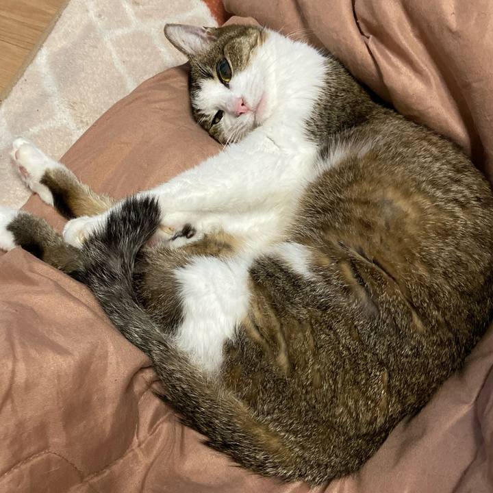 05d87fbc fca9 40d6 9323 e899416ba034 1573822887492